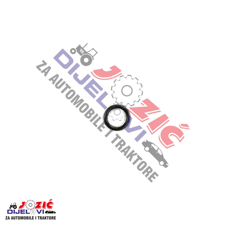 Daisy on the Ohoopee